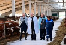 Photo of В Беларуси вернули крепостное право: Лукашенко запретил занятым в сельском хозяйстве увольняться без специального разрешения