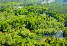 Photo of Запрет на посещение лесов снят почти по всей Беларуси