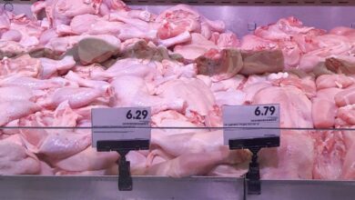 Photo of Беларусь ограничила вывоз из страны мяса птицы. Возможная причина — предполагаемая вспышка птичьего гриппа