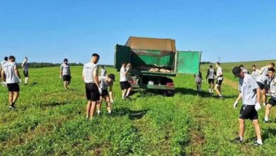 Photo of Новый метод мотивации от режима Лукашенко. Футболистов «Торпедо-БелАЗ» отправили собирать камни в колхоз. ФОТО. ВИДЕО
