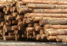 Photo of Известный производитель техники для заготовок древесины продал бизнес в РФ и Беларуси
