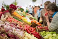 Photo of Белорусы снова могут столкнуться с нехваткой некоторых овощей и фруктов и ростом цен на них