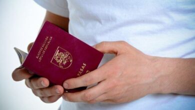 Photo of Литва планирует выдавать паспорта иностранцев только пострадавшим от режима Лукашенко белорусам