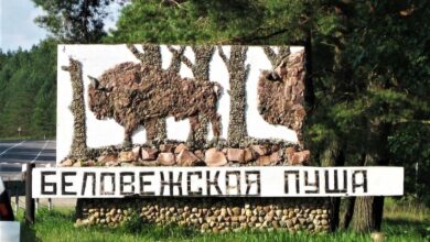 Photo of В национальном парке «Беловежская пуща» решили сделать ребрендинг