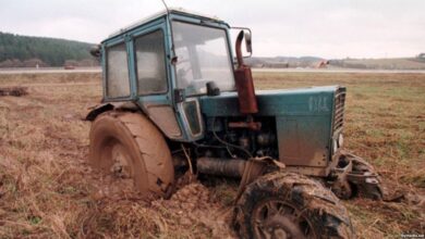 Photo of В сельском хозяйстве Беларуси стало вдвое больше убыточных организаций