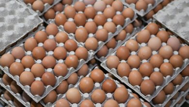 Photo of Беларусь продает яйца России себе в убыток