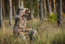 Photo of Белорусские охотники могут получить новый статус