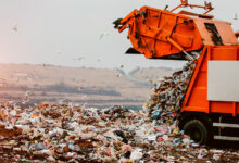 Photo of Сколько приходится мусора на одного человека в Беларуси?
