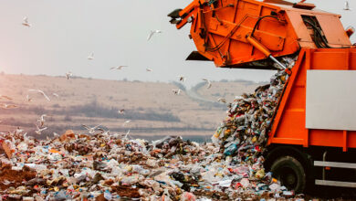 Photo of Сколько приходится мусора на одного человека в Беларуси?