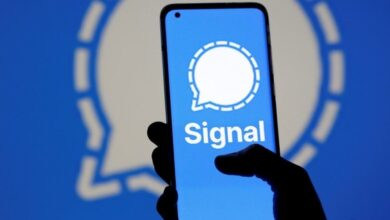 Photo of В Signal появился белорусский язык